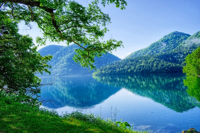 発酵の力で、あなたと愛犬の健康を一緒にチャージ！