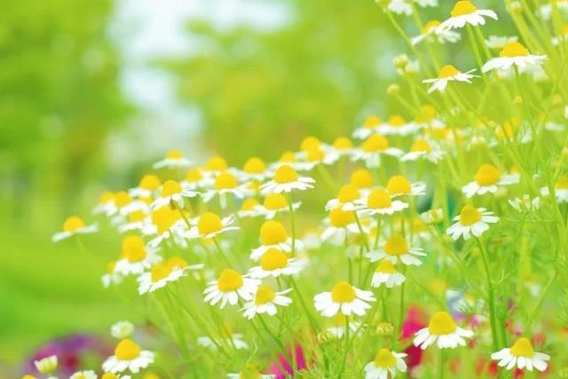 変わり続けていく時代の中、変わらぬ価値を提供<br />