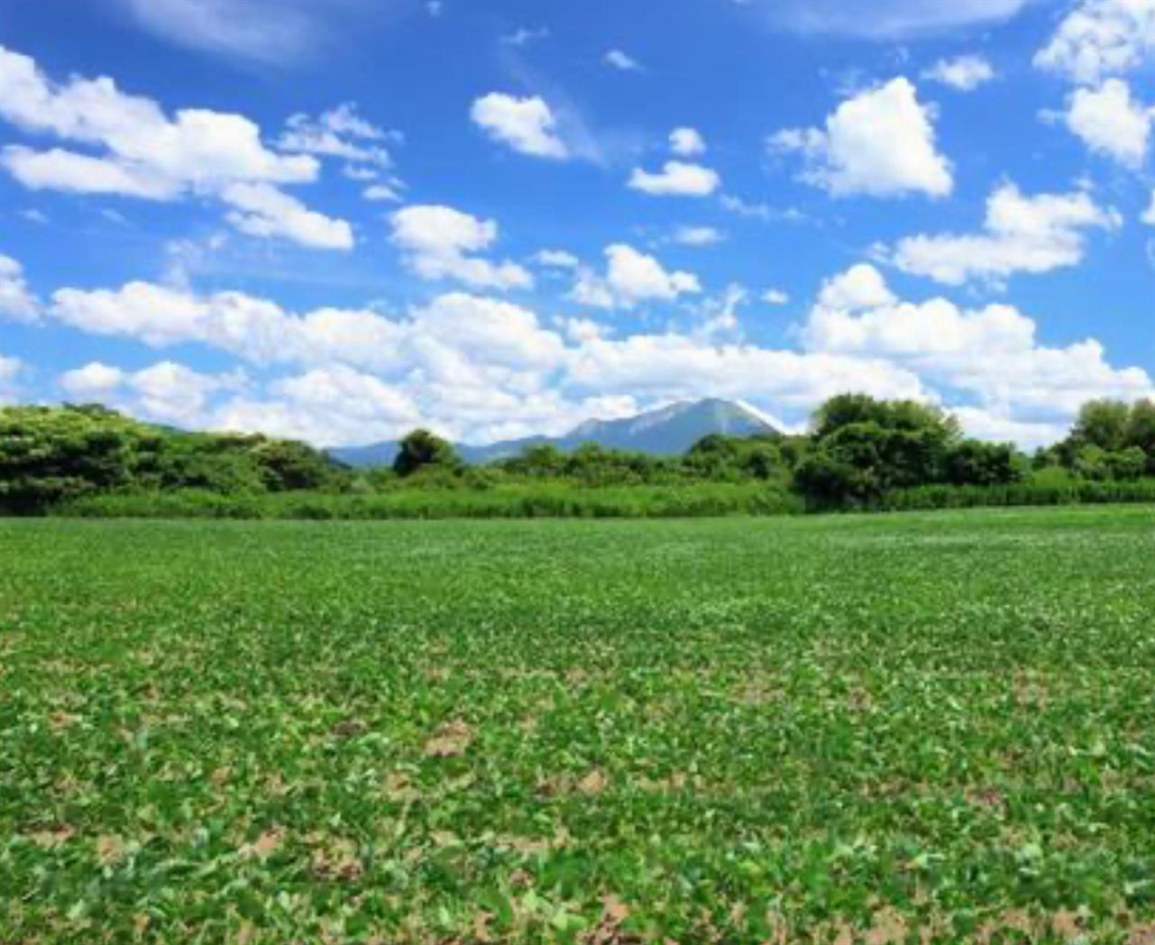 変わり続けていく時代の中、変わらぬ価値を提供<br />